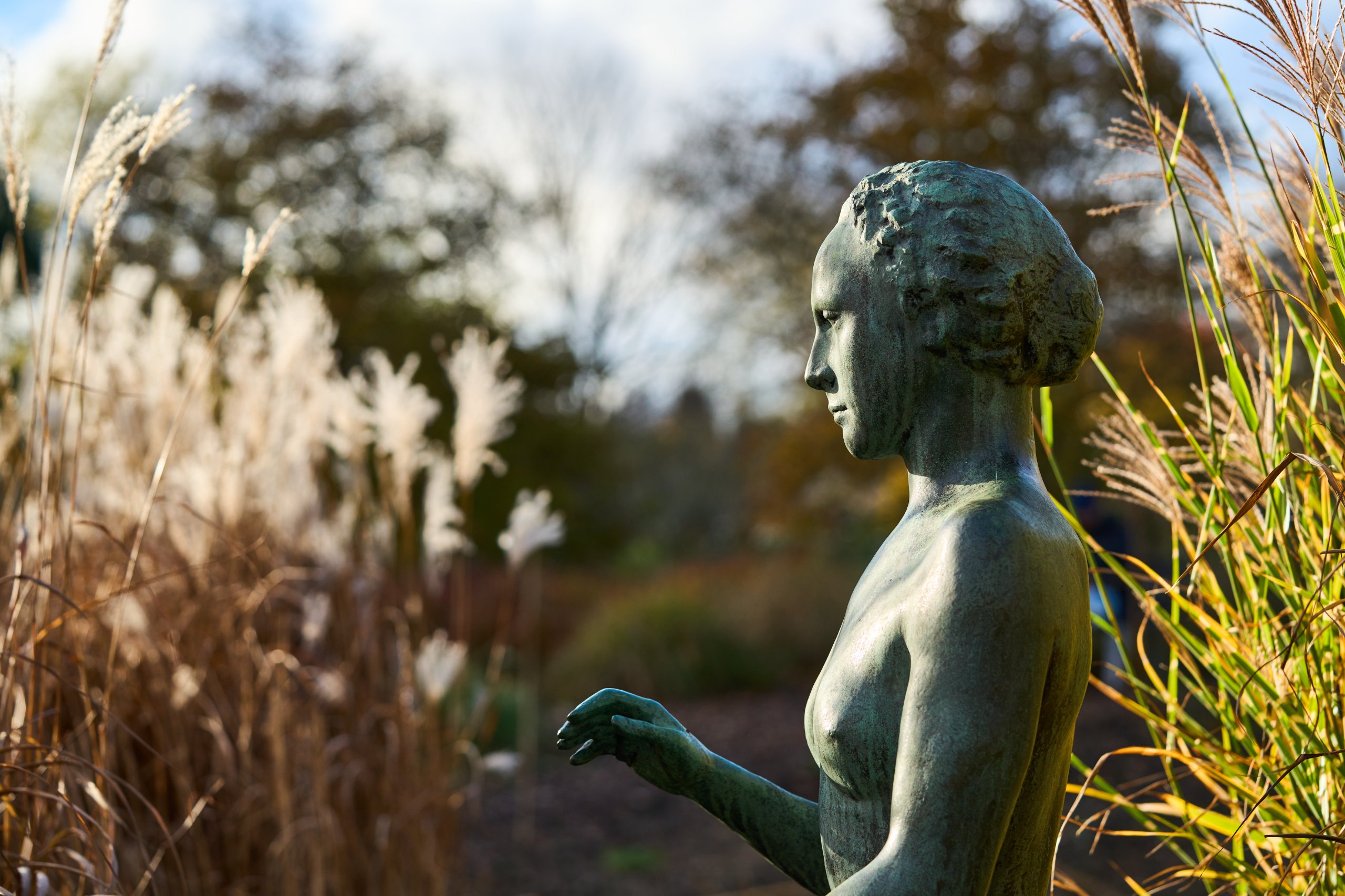 2025 11 02 Gruga 0066